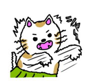 773205520