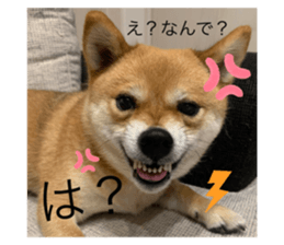773207482