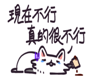 773208255