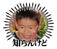773209176