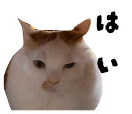 773209342
