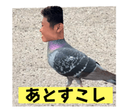 773210778