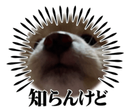 773210939
