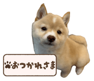 773210941