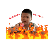 773215845