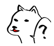 773218828