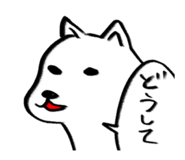 773218829