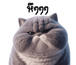 773219522