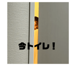 773221159