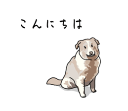 773221610