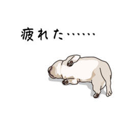 773221612