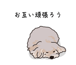 773221623