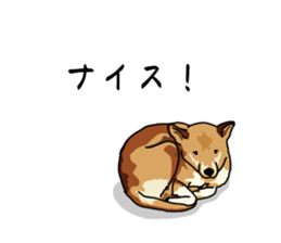 773221624