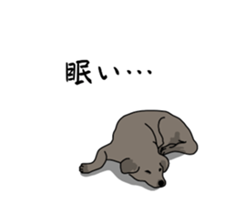 773221625