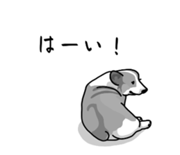 773221632