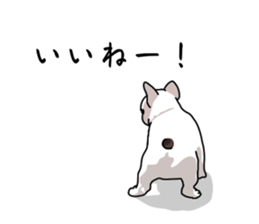 773221633