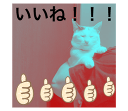 773225184