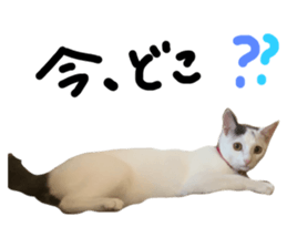 773225192