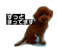 773225923