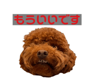 773225925