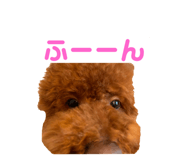 773225927