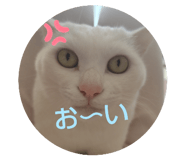 773226120