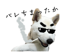 773226138