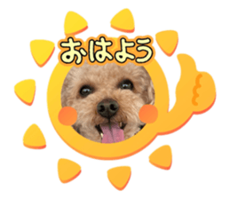 773226276
