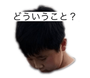 773226538