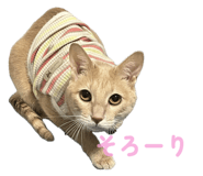 773226554