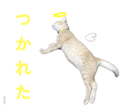 773226566