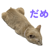 773226568