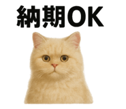 773226820