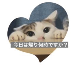 773227785