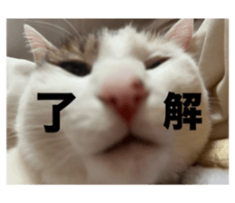 773227788