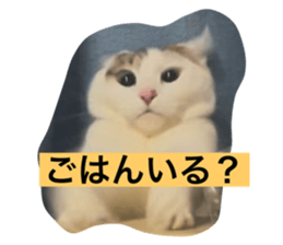 773227792
