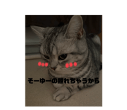 773228185