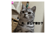 773228188