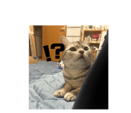 773228189