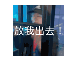 773229243