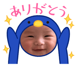 773245562