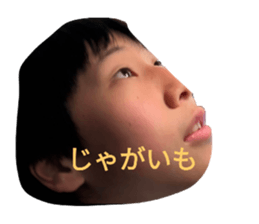 773248671