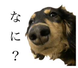 773249233