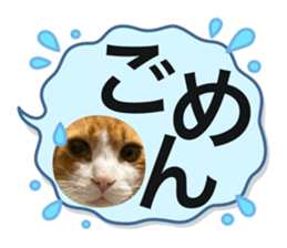 773249546