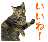 773250349