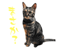 773250366