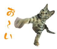 773250369