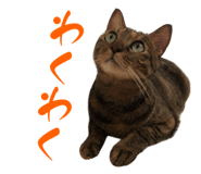 773250370