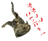 773250374