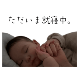 773250534